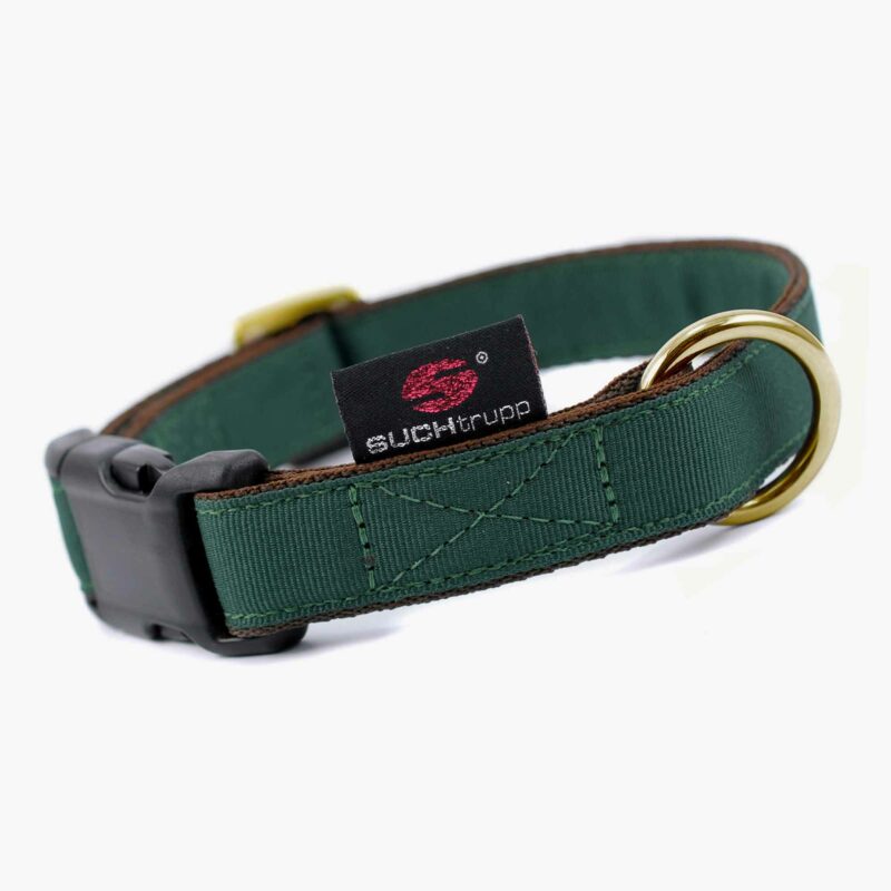 Suchtrupp Hundehalsband Golden British Racing Green